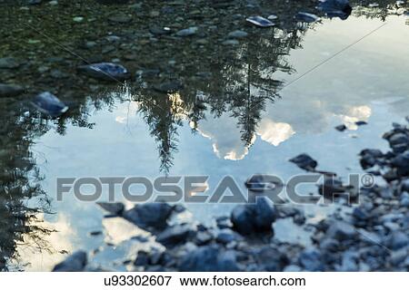 Reflection of trees in Lake Starnberg, Bavaria, Germany View Large Photo Image Stock Photo - Reflection of trees in Lake Starnberg, Bavaria, Germany. Fotosearch