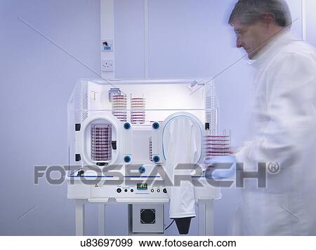 Stock Photo - Scientist working with bacterial cultures, blurred motion. Fotosearch