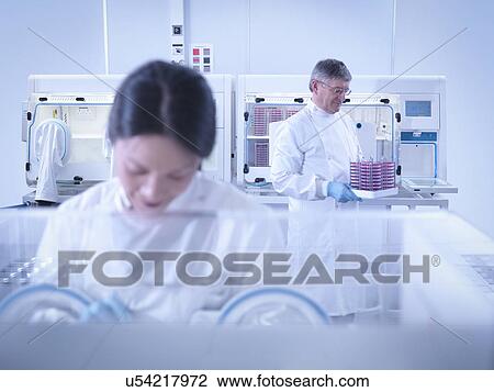 Scientists working in laboratory at workstation View Large Photo Image Stock Image - Scientists working in laboratory at workstation. Fotosearch