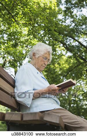 Senior woman sitting on park bench reading bible View Large Photo Image Stock Image - Senior woman sitting on park bench reading bible. Fotosearch