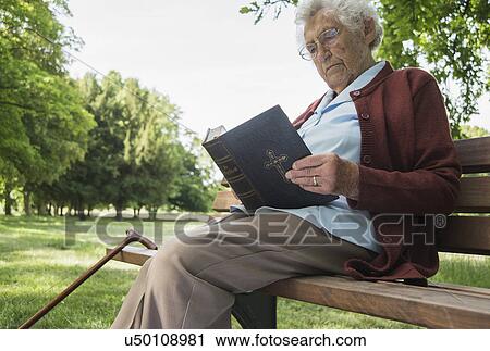 Senior woman sitting on park bench reading bible View Large Photo Image Stock Image - Senior woman sitting on park bench reading bible. Fotosearch