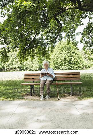 Senior woman sitting on park bench reading bible View Large Photo Image Stock Photography - Senior woman sitting on park bench reading bible. Fotosearch