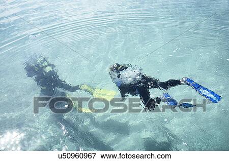 Underwater view of male teacher and boy scuba diving in sea View Large Photo Image Stock Photo - Underwater view of male teacher and boy scuba diving in sea. Fotosearch