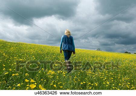 Woman walking in field of buttercups View Large Photo Image Stock Photograph - Woman walking in field of buttercups. Fotosearch