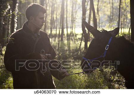 Stock Image - Young man pulling reluctant donkey in forest. Fotosearch