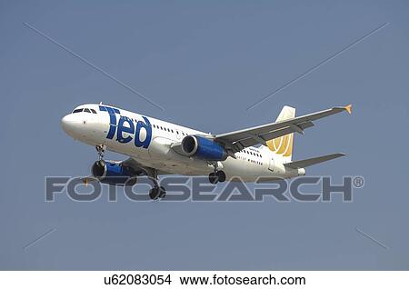 Airbus A320 of Ted Airlines on final approach to Los Angeles International Airport View Large Photo Image Picture - Airbus A320 of Ted Airlines on final approach to Los Angeles International Airport. Fotosearch