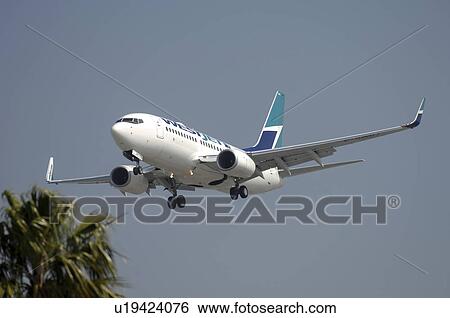 Boeing 737-700 of West Jet on final approach to Los Angeles International Airport View Large Photo Image Stock Photograph - Boeing 737-700 of West Jet on final approach to Los Angeles International Airport. Fotosearch