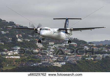 Bombardier Q300 landing at Wellington Airport, New Zealand View Large Photo Image Stock Image - Bombardier Q300 landing at Wellington Airport, New Zealand. Fotosearch