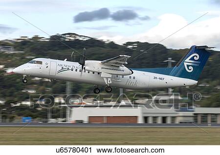 Bombardier Q300 taking off from Wellington Airport View Large Photo Image Stock Image - Bombardier Q300 taking off from Wellington Airport. Fotosearch