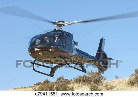 Eurocopter EC130B4 landing near Wellington, New Zealand View Large Photo Image Stock Image - Eurocopter EC130B4 landing near Wellington, New Zealand. Fotosearch