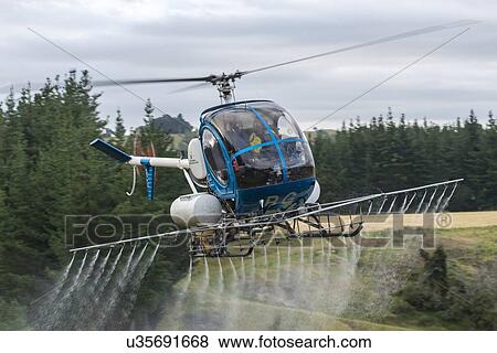 Hughes 269C flight conducting aerial spraying View Large Photo Image Stock Photo - Hughes 269C flight conducting aerial spraying. Fotosearch