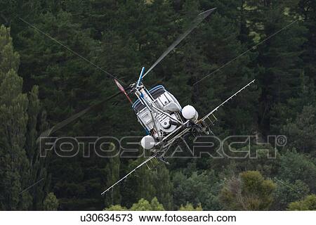 Stock Image - Hughes 269C Helicopters in flight conducting aerial spraying. Fotosearch