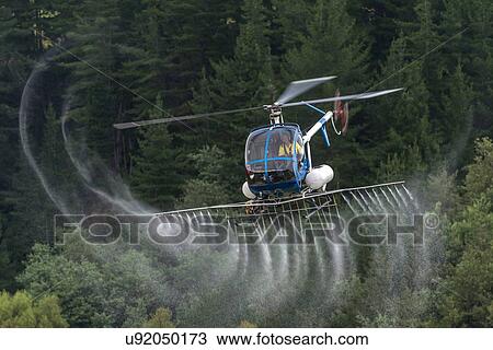 Hughes 269C in flight conducting aerial spraying View Large Photo Image Stock Image - Hughes 269C in flight conducting aerial spraying. Fotosearch
