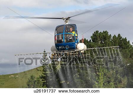 Hughes 269C in flight conducting aerial spraying View Large Photo Image Stock Photo - Hughes 269C in flight conducting aerial spraying. Fotosearch