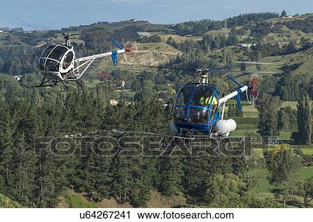 Stock Image - Hughes 269Cs flying in formation. Fotosearch