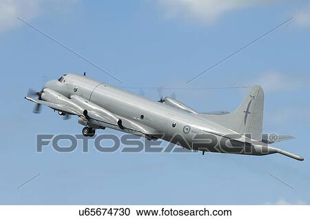Lockheed P-3K Orion of the RNZAF View Large Photo Image Stock Image - Lockheed P-3K Orion of the RNZAF. Fotosearch