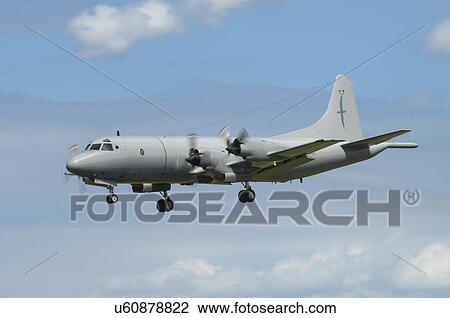 Stock Image - Lockheed P-3K Orion of the Royal New Zealand Air Force. Fotosearch