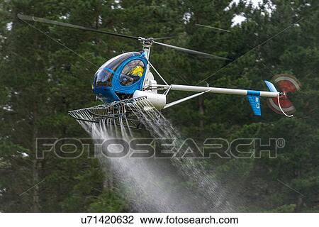 Low angle view of flight conducting aerial spraying View Large Photo Image Stock Image - Low angle view of flight conducting aerial spraying. Fotosearch