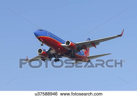 Southwest Airlines Boeing 737-700 landing at Los Angeles International Airport View Large Photo Image Stock Photograph - Southwest Airlines Boeing 737-700 landing at Los Angeles International Airport. Fotosearch
