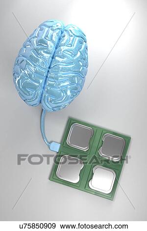 Stock Photo - Brain connected to computer. Fotosearch