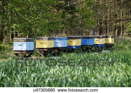 Stock Image - Crates in the grass. Fotosearch
