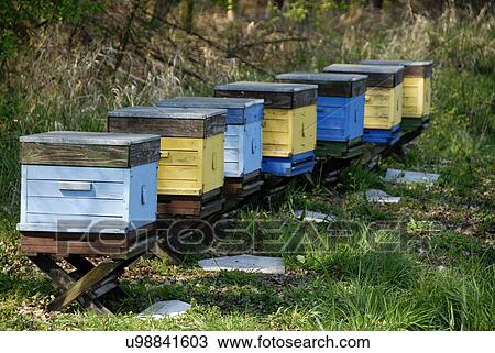 Stock Image - Crates in the grass. Fotosearch