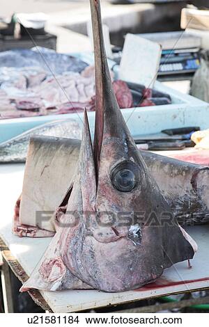Fish head View Large Photo Image Picture - Fish head. Fotosearch