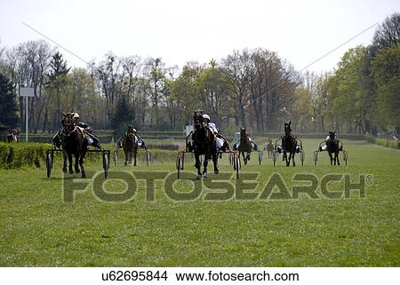 Picture - Horse racing. Fotosearch