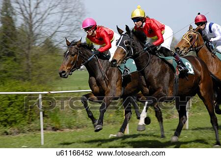 Horse racing View Large Photo Image Stock Image - Horse racing. Fotosearch