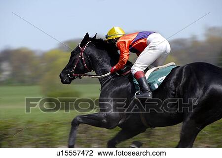 Jockey and horse View Large Photo Image Stock Image - Jockey and horse. Fotosearch