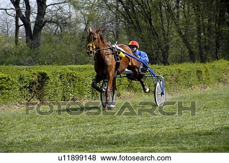 Jockey and horse View Large Photo Image Stock Photo - Jockey and horse. Fotosearch