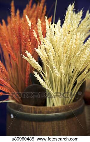 Wheat decoration View Large Photo Image Stock Photography - Wheat decoration. Fotosearch