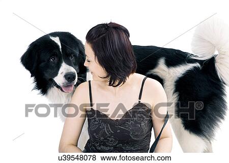 Stock Photo - Woman and sheepdog looking at each other. Fotosearch