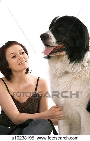 Woman petting sheepdog View Large Photo Image Stock Photography - Woman petting sheepdog. Fotosearch