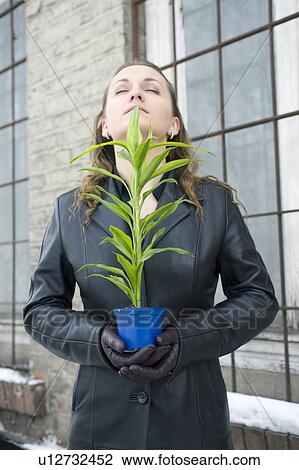 Stock Image - Women holding plant. Fotosearch