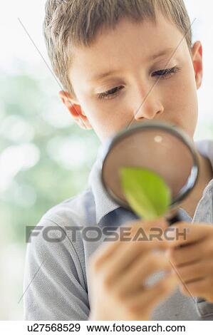 boy (8-9) looking through magnifying glass View Large Photo Image Stock Photo - boy (8-9) looking through magnifying glass. Fotosearch