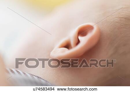 Close up of baby boy's(2-5 months) ear View Large Photo Image Picture - Close up of baby boy's(2-5 months) ear. Fotosearch