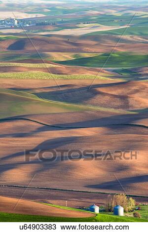 Farm on wheat field View Large Photo Image Stock Image - Farm on wheat field. Fotosearch