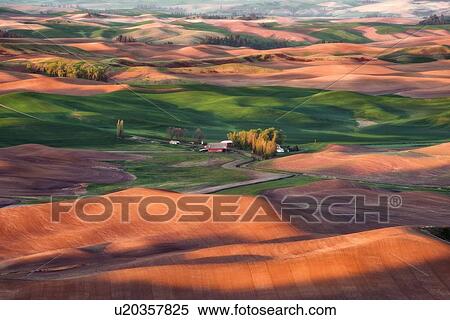 Farm on wheat field View Large Photo Image Stock Photography - Farm on wheat field. Fotosearch