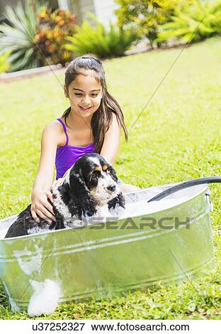 Stock Photo - girl (8-9) bathing dog. Fotosearch