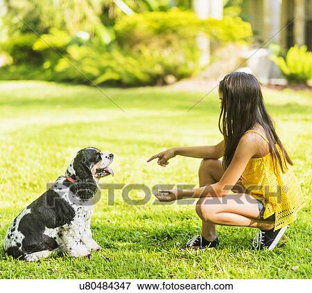 girl ( 8-9) teaching dog tricks View Large Photo Image Stock Photo - girl ( 8-9) teaching dog tricks. Fotosearch