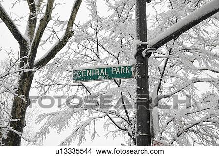 Low angle view of Central Park sign View Large Photo Image Picture - Low angle view of Central Park sign. Fotosearch
