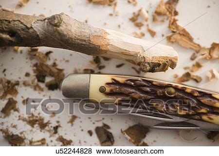 Studio Shot of pocket knife and stick View Large Photo Image Stock Photo - Studio Shot of pocket knife and stick. Fotosearch