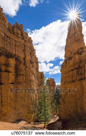 Stock Photo - Sun over Bryce Canyon. Fotosearch