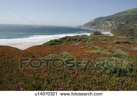 Stock Image - Tranquil seaside. Fotosearch