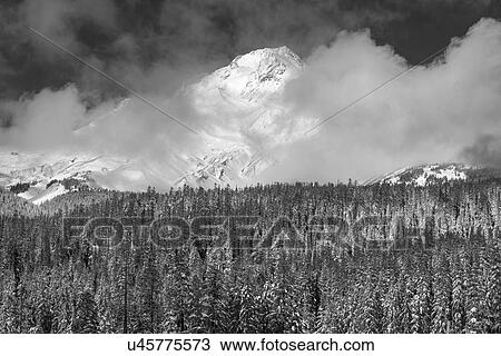 View of Mt Hood View Large Photo Image Stock Image - View of Mt Hood. Fotosearch
