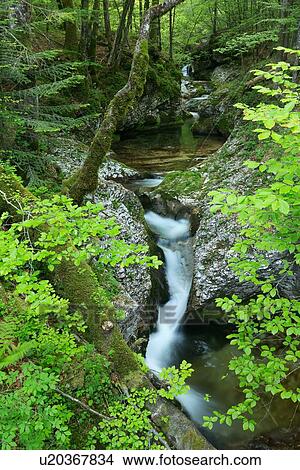 Picture - Architecture and Landscapes of Slovenia. Fotosearch