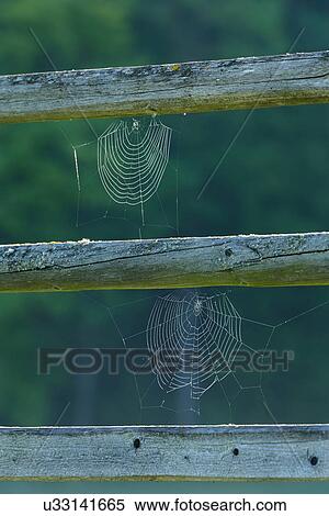 Stock Photography - Architecture and Landscapes of Slovenia. Fotosearch