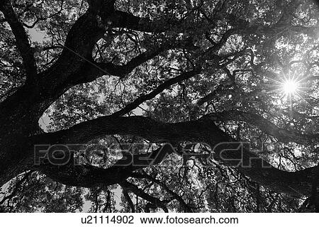 Spain: the Golden Triangle of Andalucia View Large Photo Image Stock Image - Spain: the Golden Triangle of Andalucia. Fotosearch