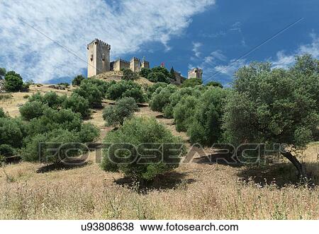 Spain: the Golden Triangle of Andalucia View Large Photo Image Stock Photo - Spain: the Golden Triangle of Andalucia. Fotosearch